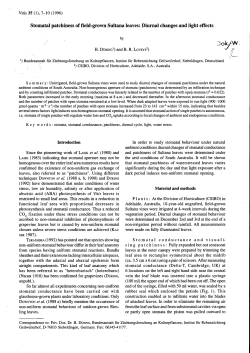 Stomatal patchiness of field-grown Sultana leaves - Vitis-vea