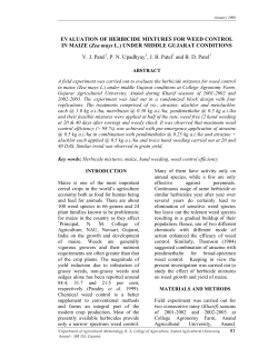 EVALUATION OF HERBICIDE MIXTURES FOR WEED CONTROL