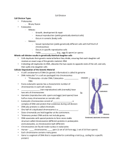 Cell Division Cell Division Types Prokaryotes Binary fission