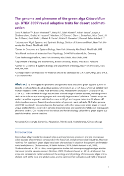 The genome and phenome of the green alga Chloroidium sp