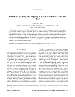 Phenotypic plasticity and longevity in plants and animals: cause and