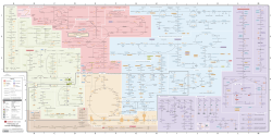 Carbohydrates Human Metabolic Pathway Oxidative metabolism