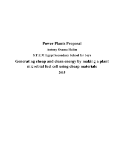 Power Plants Proposal Generating cheap and clean