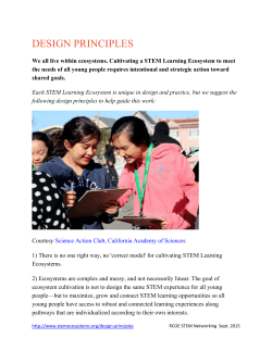 Design Principles of a STEM Ecosystem