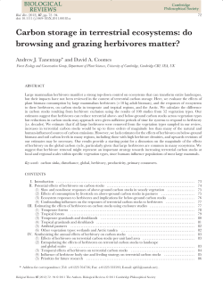 Carbon storage in terrestrial ecosystems: do browsing and grazing
