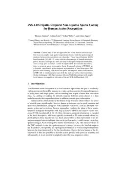 sNN-LDS: Spatio-temporal Non-negative Sparse Coding for Human