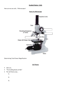 Cells Guided Notes