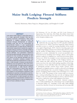 Maize Stalk Lodging: Flexural Stiffness Predicts Strength