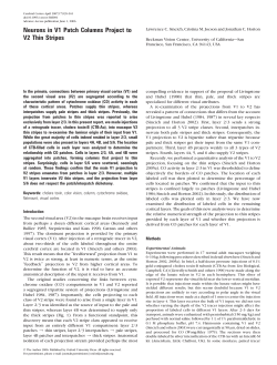 Neurons in V1 Patch Columns Project to V2 Thin