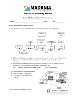Madania Secondary School Grade 7 Biology Worksheet