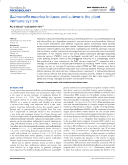 Salmonella enterica induces and subverts the plant