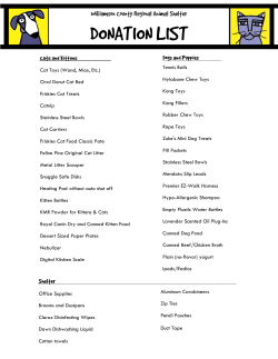 Tennis Balls Nylabone Chew Toys Kong Toys Kong Fillers Rubber