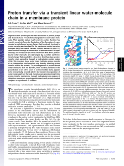 Proton transfer via a transient linear water