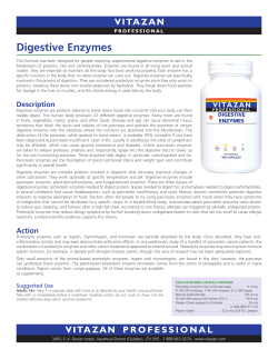 Digestive Enzymes