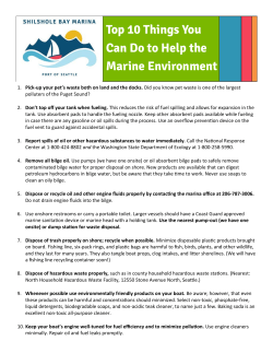Top 10 Things You Can Do to Help the Marine Environment