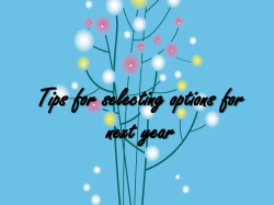 A short guide to help you choose next years options