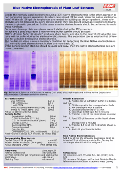 1 Blue-Native Electrophoresis of Plant Leaf-Extracts