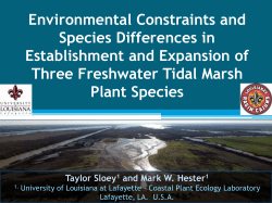 Environmental Constraints and Plant Species Differences in