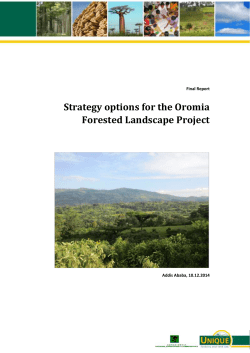 Forestry sector strategy options