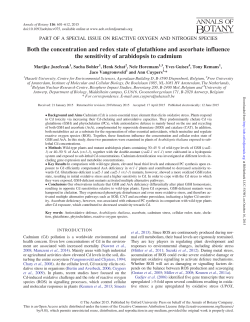 Both the concentration and redox state of glutathione and ascorbate