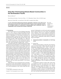 Deep-Sea Chemoautosynthesis-Based Communities in
