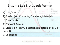Enzyme Lab Overview