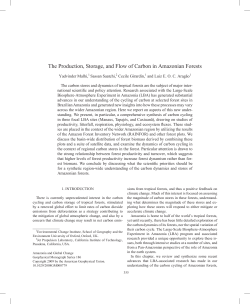 The Production, Storage, and Flow of Carbon in