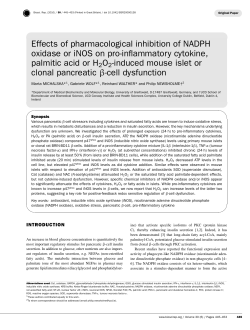 Effects of pharmacological inhibition of NADPH oxidase or iNOS on