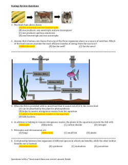 Ecology Review Questions 1. The food chain above shows (A) one