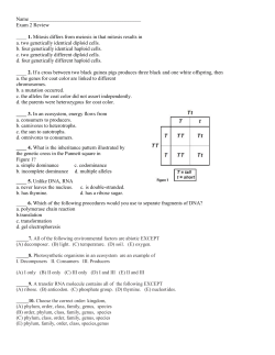 Exam Review worksheet