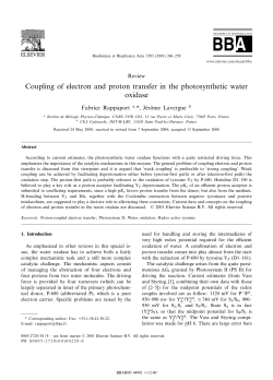 Coupling of electron and proton transfer in the photosynthetic water