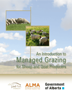 Managed Grazing - Alberta Lamb Producers