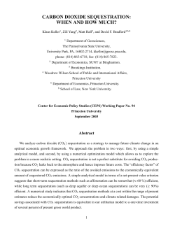 CARBON DIOXIDE SEQUESTRATION: WHEN AND HOW MUCH?