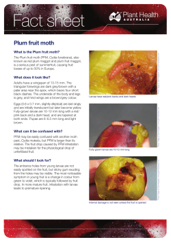 Fact sheet - Plant Health Australia
