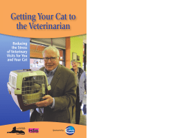 Getting Your Cat to the Veterinarian