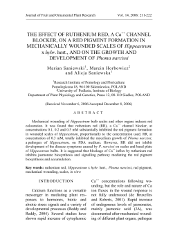 THE EFFECT OF RUTHENIUM RED, A Ca++ CHANNEL BLOCKER