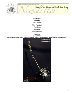 2014-09 - Bromeliad Society International