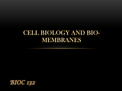 cellular processes - f