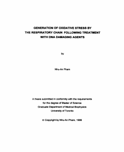 GENERATION OF OXlDATlVE STRESS BY THE RESPIRATORY