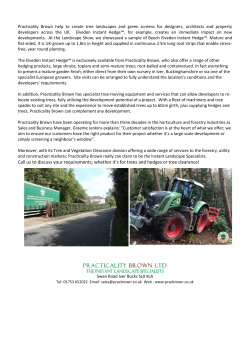 practicality brown ltd