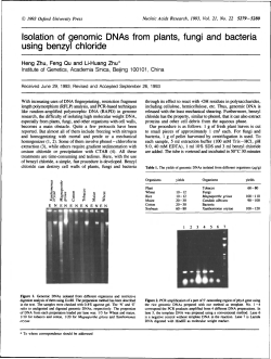 Isolation of genomic DNAs from plants, fungi and bacteria using