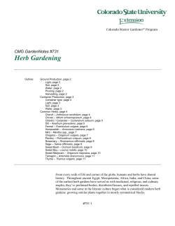 Herb Gardening - Colorado State University Extension