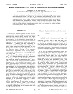 Growth mode in Si&bdquo;100&hellip;-&bdquo;2 1&hellip; epitaxy by low