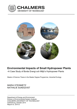 Environmental Impacts of Small Hydropower Plants