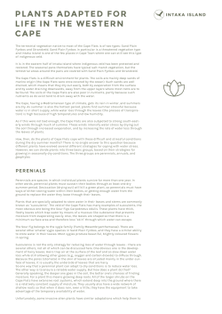 PLANTS ADAPTED FOR LIFE IN THE WESTERN CAPE