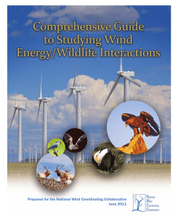 Comprehensive Guide to Studying Wind Energy/Wildlife Interactions