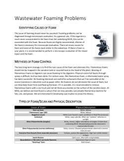 Filamentous Foaming - Microbial Discovery Group