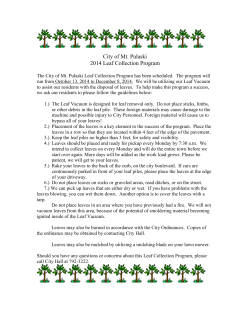 2014 Leaf Collection Program
