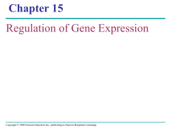 Chapter 15 Regulation of Gene Expression