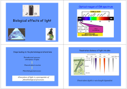 Biological effects of light